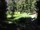 small_IMG_1320.jpg