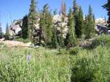 small_IMG_1340.jpg