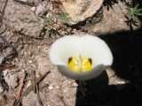small_IMG_1350.jpg