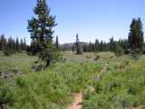small_IMG_1352.jpg