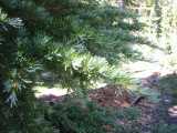 small_IMG_1353.jpg