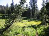 small_IMG_1356.jpg