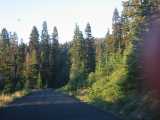 small_IMG_1363.jpg