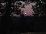 small_IMG_1365.jpg
